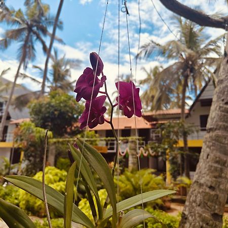 Pv Cottages - Serenity Beach Pondicherry Exterior foto