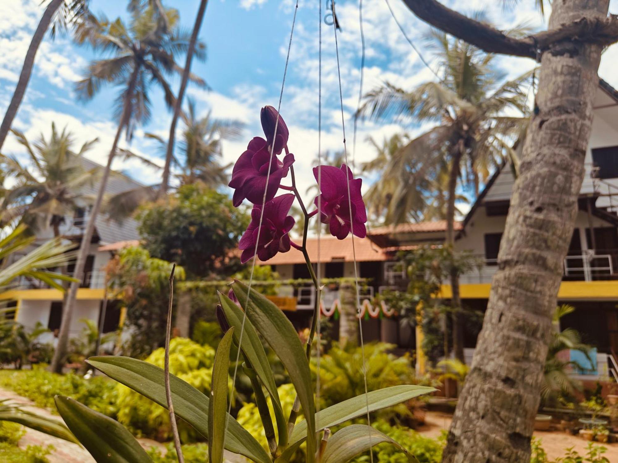 Pv Cottages - Serenity Beach Pondicherry Exterior foto